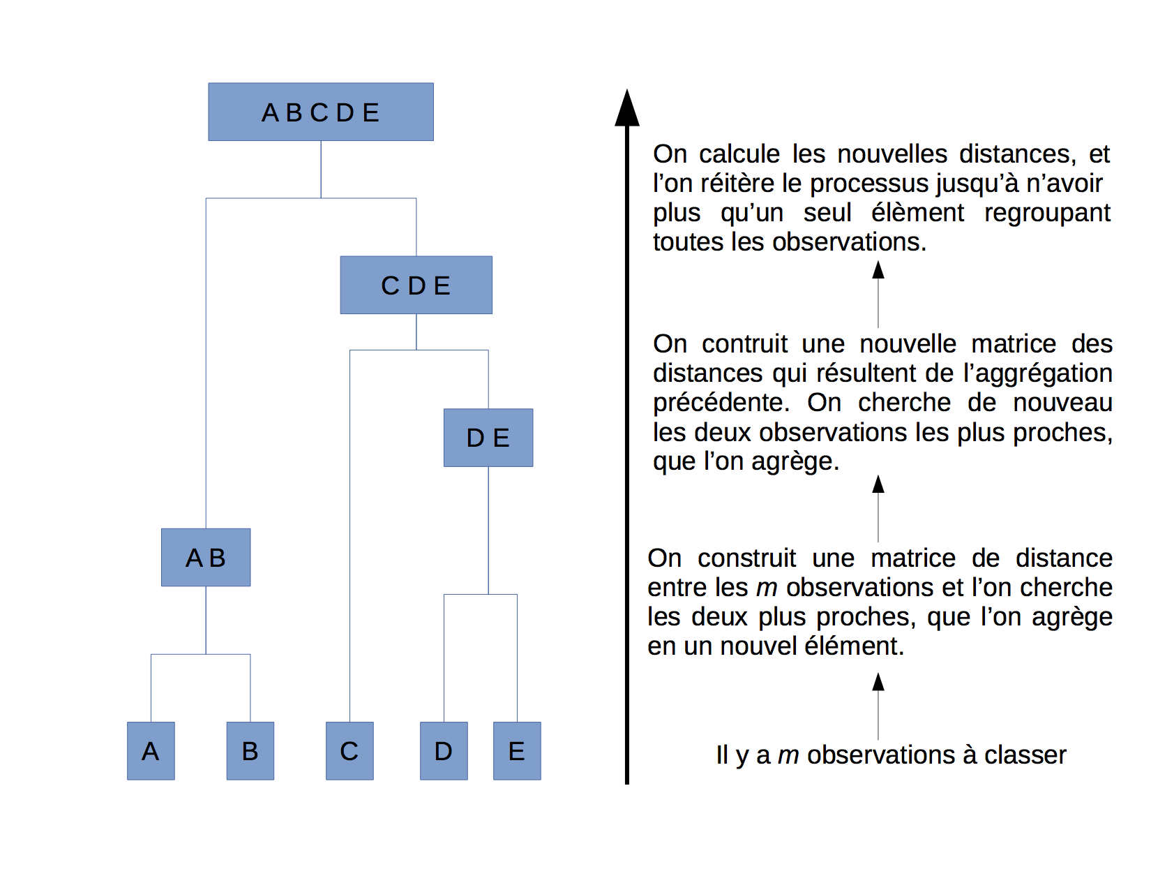 illustration qui montre la construction d'un dendrogramme dans le cas d'un clustering hierarchique ascendant