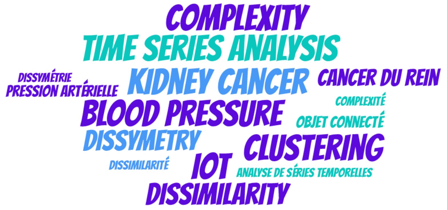 mots-clefs des résumés en nuage de mots : kidney cancer, blood pressure, IoT, time series analysis, clustering, complexity, dissimilarity, dissymmetry ET cancer du rein, pression artérielle, objet connecté, analyse de séries temporelles, clustering, complexité, dissimilarité, dissymétrie